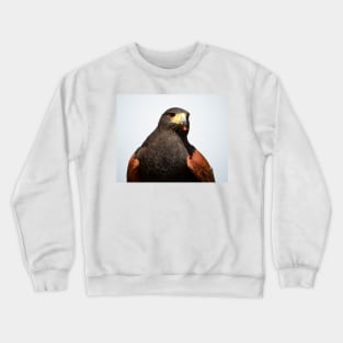 Harris Hawk Crewneck Sweatshirt